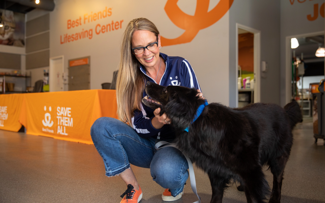 Best Friends Animal Society:  Among 2021 Top Workplaces and CEO Julie Castle Wins Leadership Award